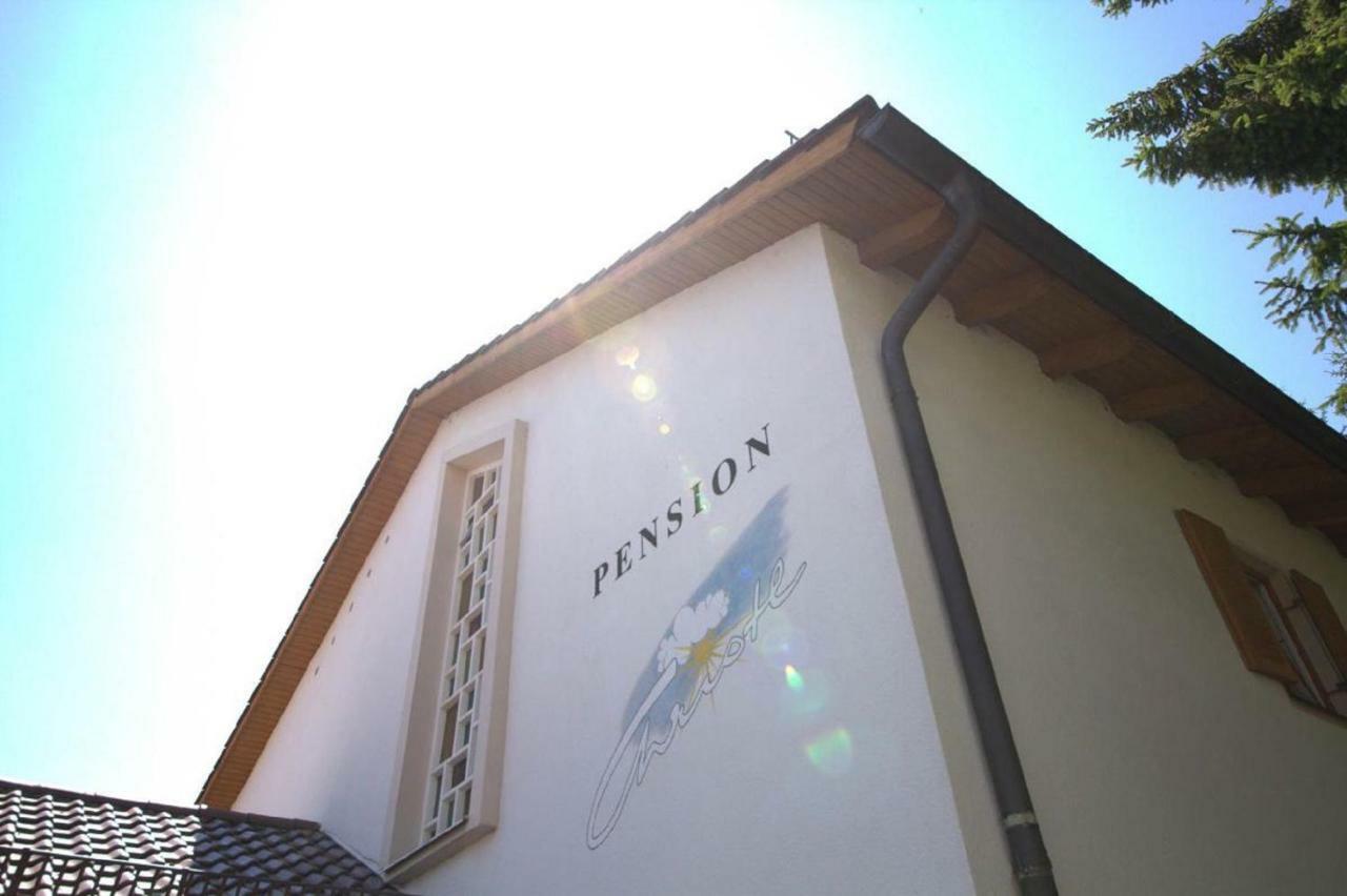 Pension Christl Bischofsmais Exterior foto